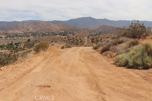 Custom Acton (CACTO) - Land