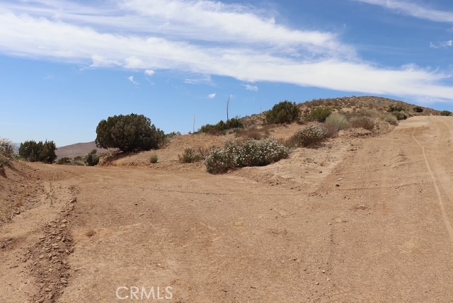 Custom Acton (CACTO) - Land