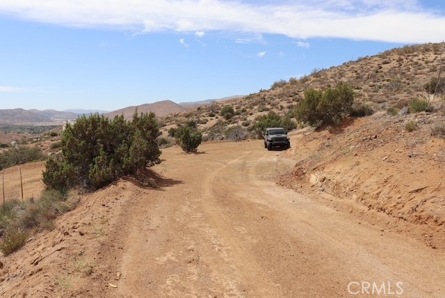 Custom Acton (CACTO) - Land