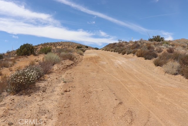 Custom Acton (CACTO) - Land