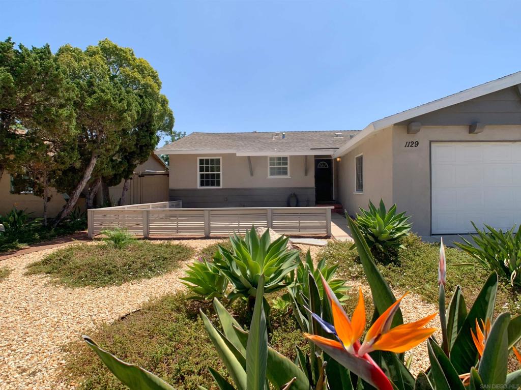 1129 Finch
