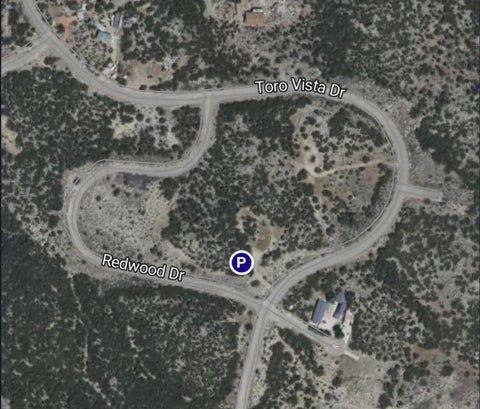 Photo of 0 Redwood Drive, Mountain Center, CA 92561 (MLS # 219152815DA)