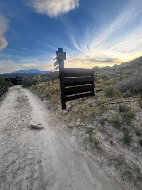 Photo of 49075 Matzene Drive, Morongo Valley, CA 92256 (MLS # 219143742DA)