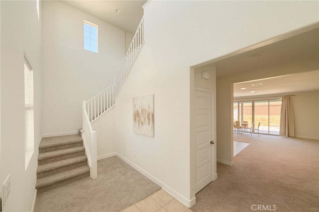 5921 Dragonfly Street