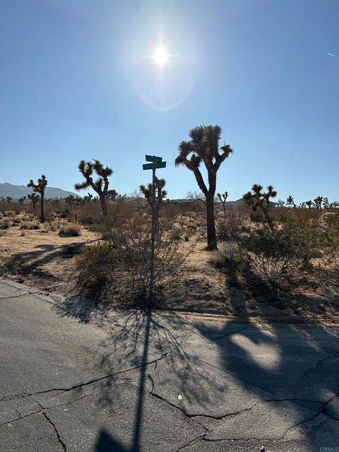 Photo of 0 Division Street, Joshua Tree, CA 92252 (MLS # PTP2602474)