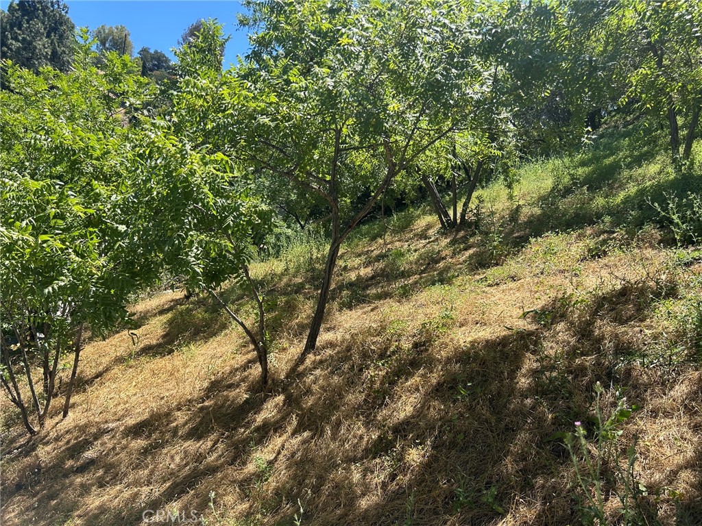 3721 Ventura Canyon