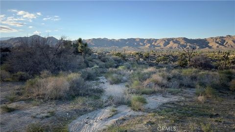 Photo of 55370 Bunny Road, Yucca Valley, CA 92284 (MLS # JT25049029)