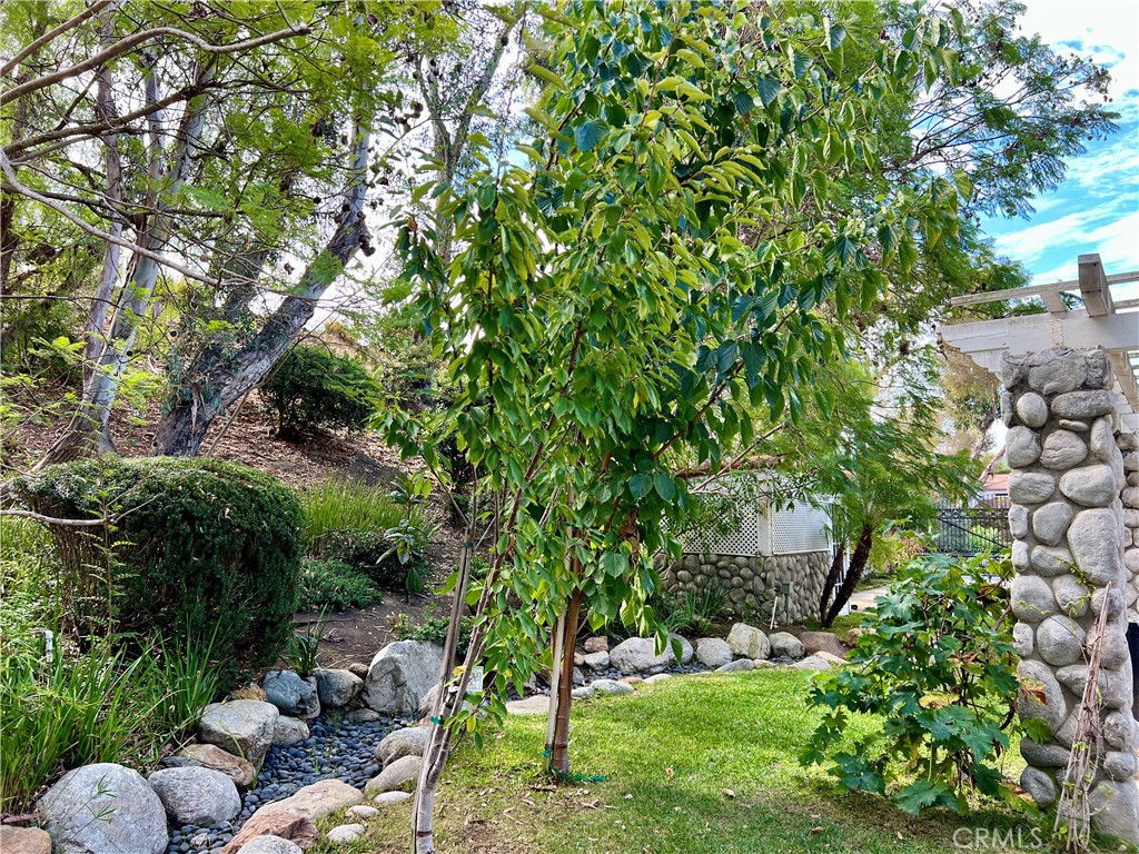 Capistrano Royale (CY) - Residential Lease