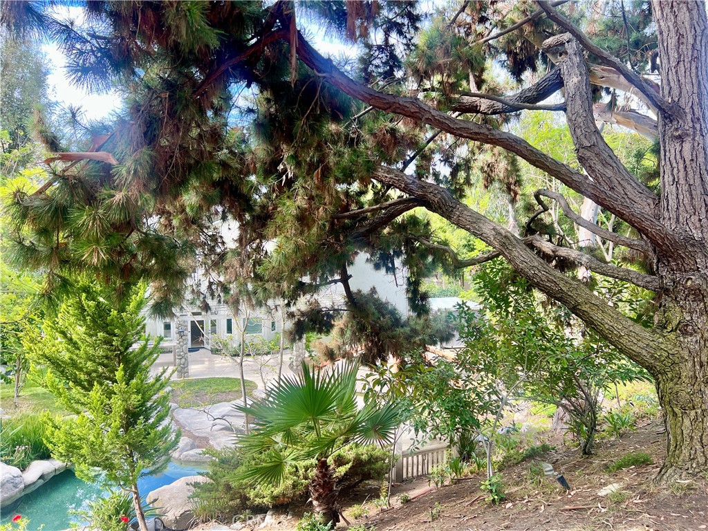 Capistrano Royale (CY) - Residential Lease