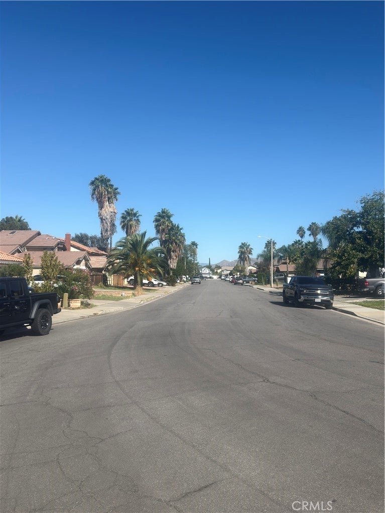 16489 Silverbirch