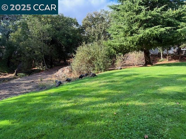 COUNTRY RUN - Residential