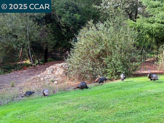 COUNTRY RUN - Residential