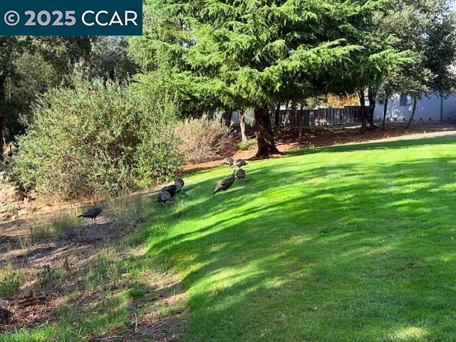 COUNTRY RUN - Residential