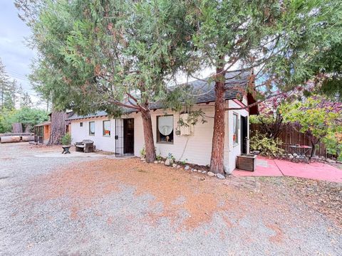 Photo of 54227 Pine Crest Dr, Idyllwild, CA 92549 (MLS # 219136751DA)