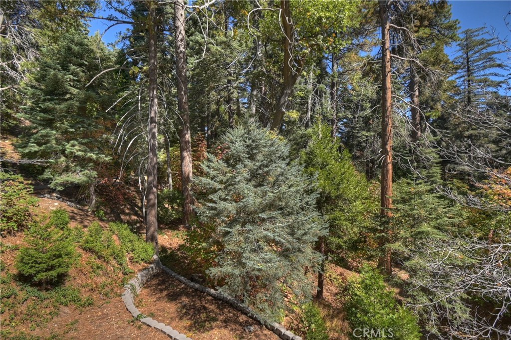 Sky Forest (SKYF) - Residential