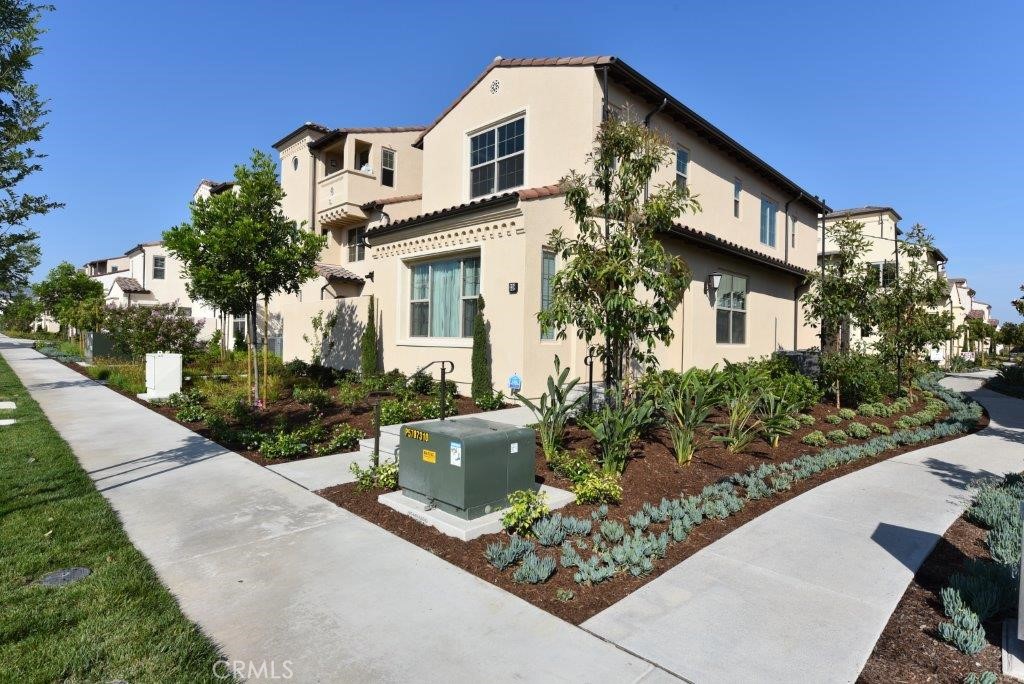 338 Floral View