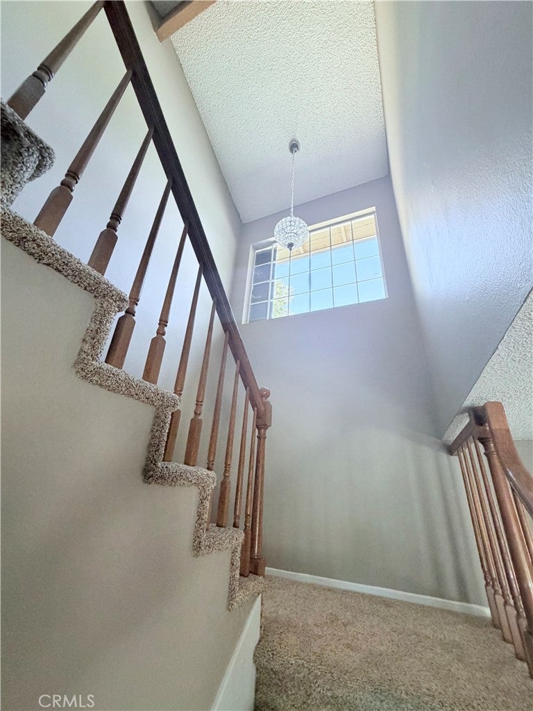 30446 Spica Court