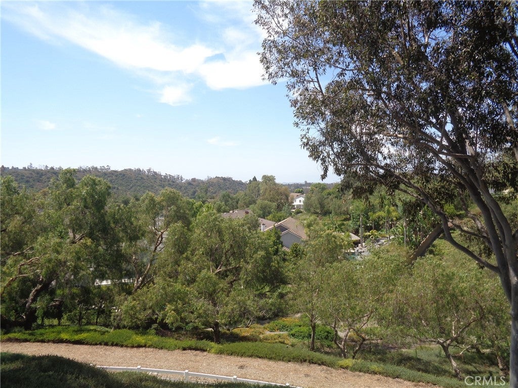 21342 Hillside Court
