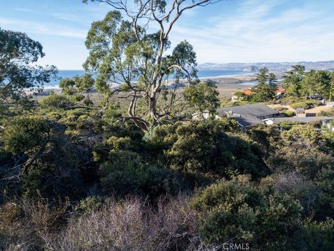 Tiny photo for 0 Pecho Valley Rd, Los Osos, CA 93402 (MLS # NS24210807)