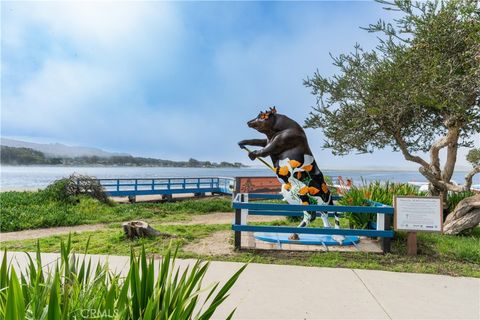 Tiny photo for 0 Pecho Valley Rd, Los Osos, CA 93402 (MLS # NS24210807)