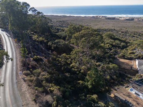 Tiny photo for 0 Pecho Valley Rd, Los Osos, CA 93402 (MLS # NS24210807)