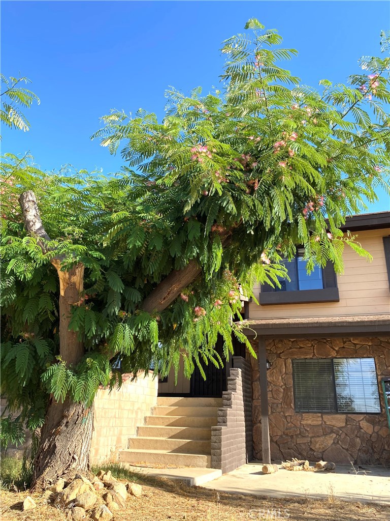 984 Pinon Rd