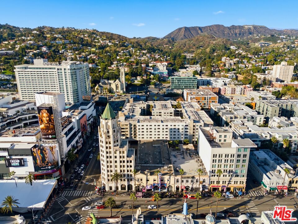 The Hollywood - Residential