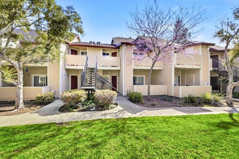 Photo of 1066 Cedar Gables Drive, San Jose, CA 95118 (MLS # ML82038515)