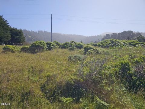 Photo of 15151 Mallo Pass Drive, Manchester, CA 95459 (MLS # C1-11015) Photo of 15151 Mallo Pass Drive, Manchester, CA 95459 (MLS # C1-11015)