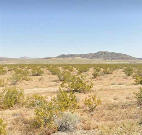 Photo of 800 Firethorn Way (NEAR), Johnson Valley, CA 92285 (MLS # HD26048421)
