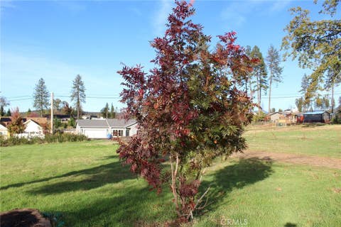 Featured picture for the property PA25262352