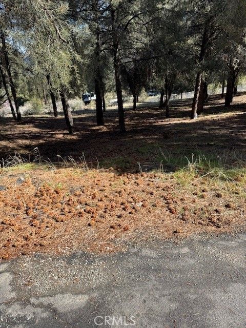 Photo of 14700 Pinehurst Drive, Pine Mountain Club, CA 93225 (MLS # SR25069121)