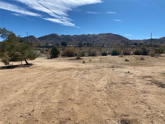 60450 ALTA MESA DR, JOSHUA TREE, CA 92252 - Image 76ec1adc856d3b956c0b08f21ca5e43e/647173755