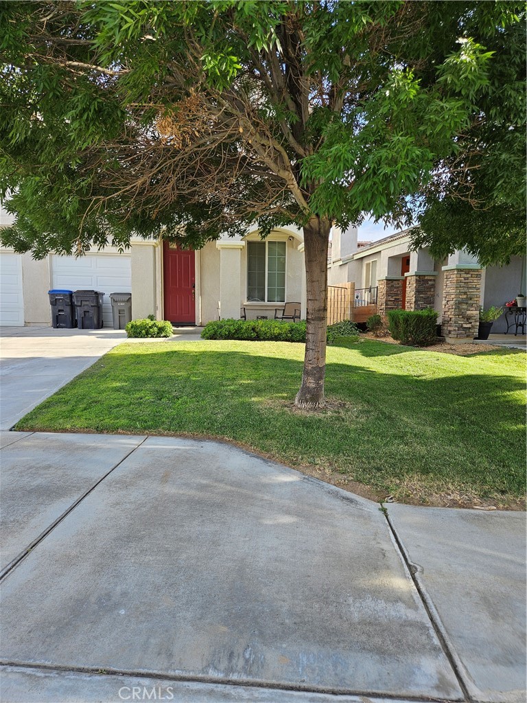 2314 Donatello Street