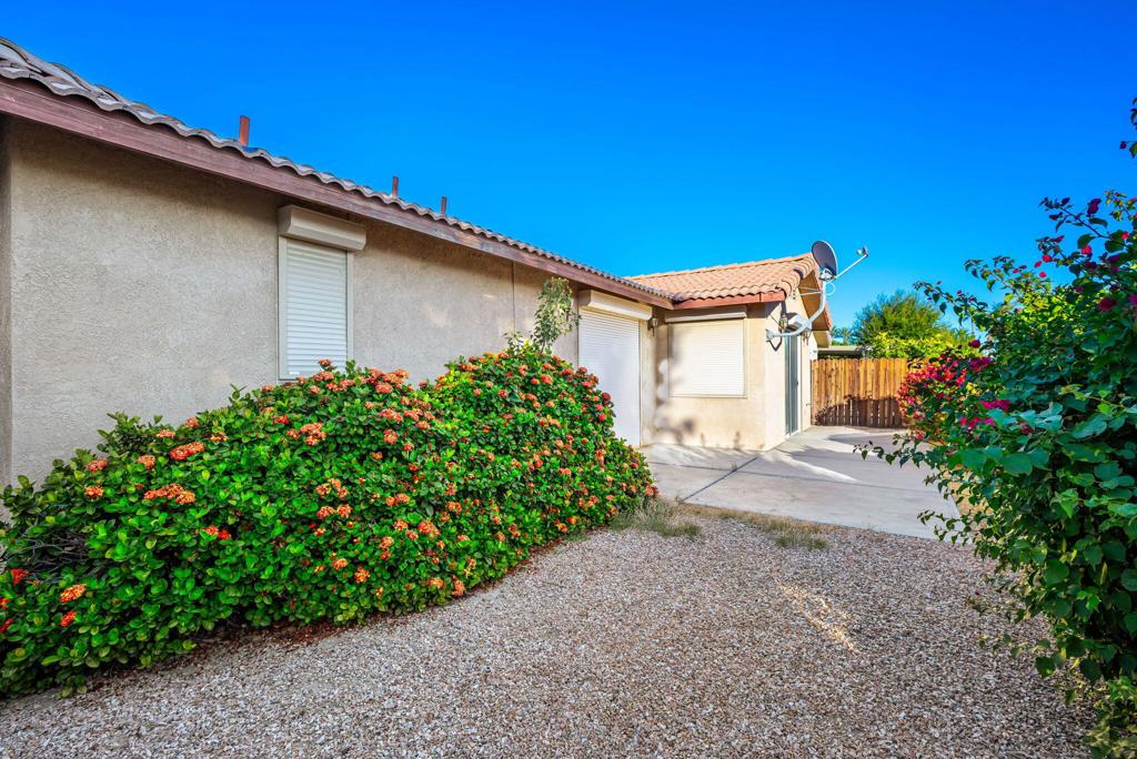 Desert Grove - Residential