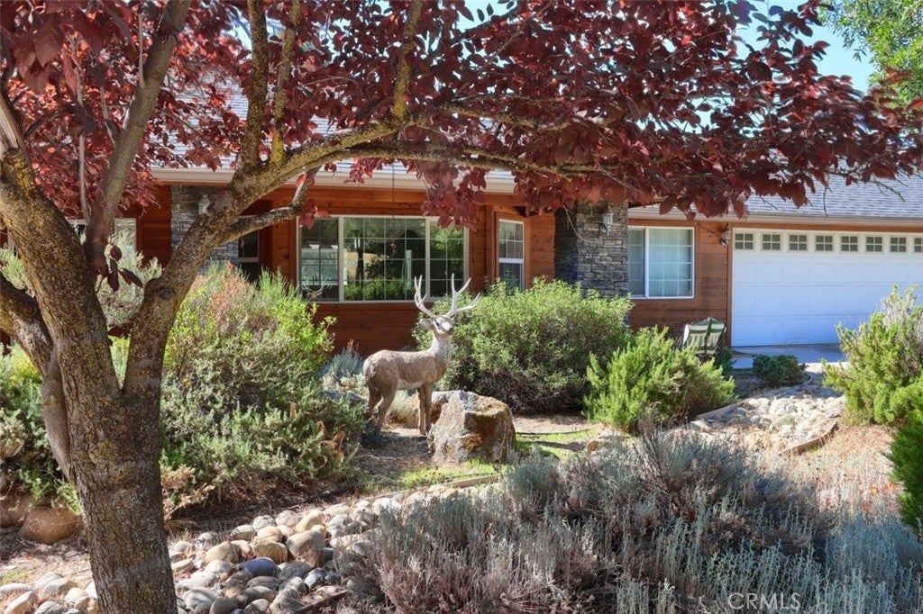 38788 Goldenrod Lane