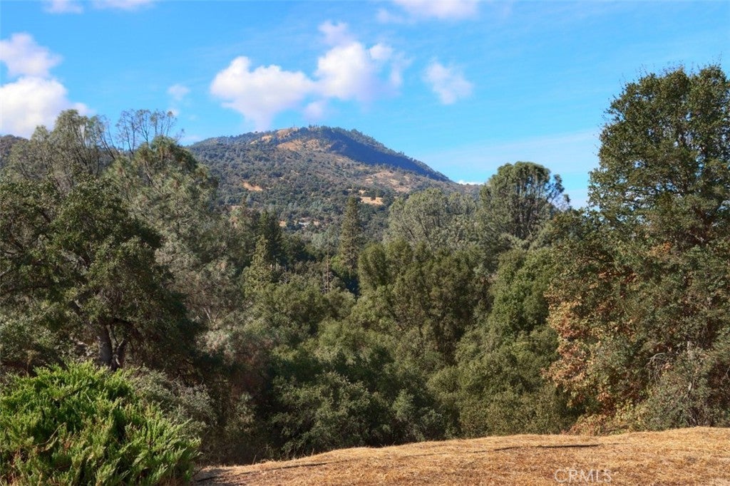 38788 Goldenrod Lane