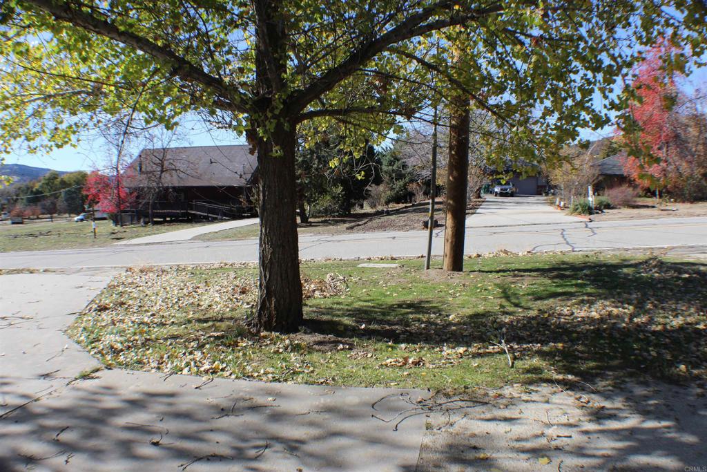 23950 Jacaranda Drive