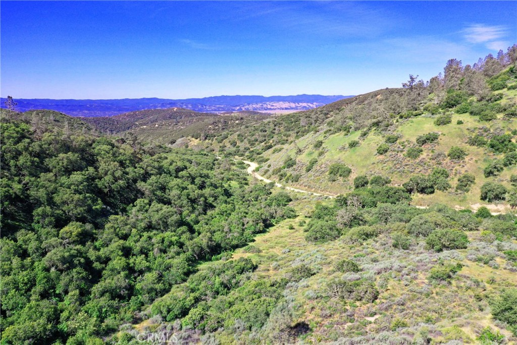 This stunning 160-acre property is near the heart of the community of Lockwood in Southern Monterey County and offers the potential to be split into three parcels (buy now, sell two after the certificate of compliance process is complete, later?). With its breathtaking views and abundant wildlife, being adjacent to thousands of acres of BLM land is a huge bonus. This property is the perfect place for outdoor enthusiasts to call home. Whether you're an avid hunter, hiker, or camper, you'll love the endless opportunities for adventure that this property provides. And with Lake San Antonio and Lake Nacimiento just a short drive away, you'll have access to some of the best fishing, boating, and water sports. The property has road frontage along Lockwood San Ardo Road, an unpaved County Road, and it's a short 30-minute drive off Highway 101, making it conveniently accessible from either the north or south. So why wait? See this incredible property for yourself and enjoy the great outdoors. Inquire about other nearby properties, which are also available.