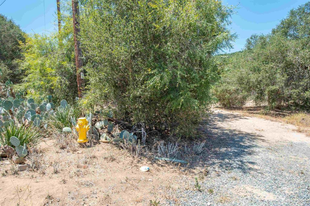 11248 Oshia Lane