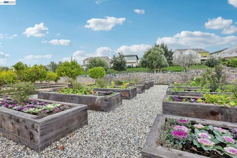 Tiny photo for 4022 4022 Windsor Way Way, Dublin, CA 94568 (MLS # 41126335)