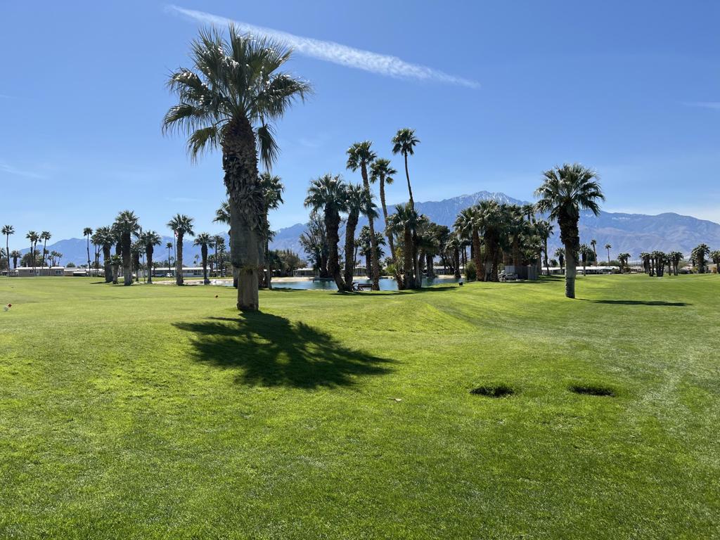 Hidden Springs - Manufactured In Park