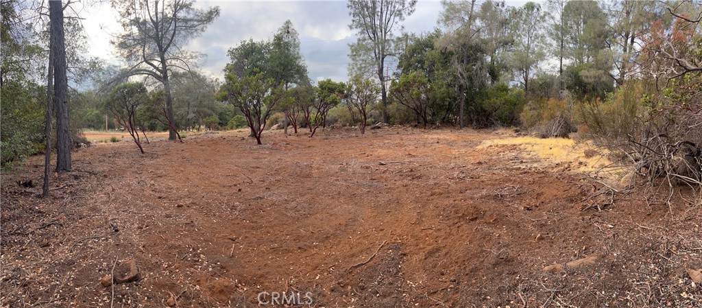TWO ADJACENT LOTS OF 0.46 ACRES in private spot with mountain views in the distance. Room to do a well. Put in two homes not including ADUs. Over 500 feet from the nearest home so no one to bother you. Mostly cleared. Level for easy and inexpensive building.