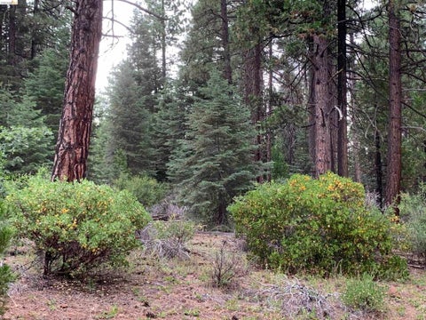 Photo of 00000 Old Toll Rd, CA 96068 (MLS # 41147237)