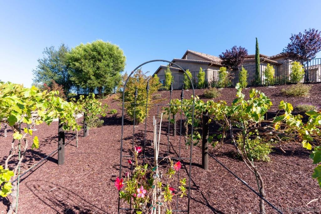 Temecula - Residential