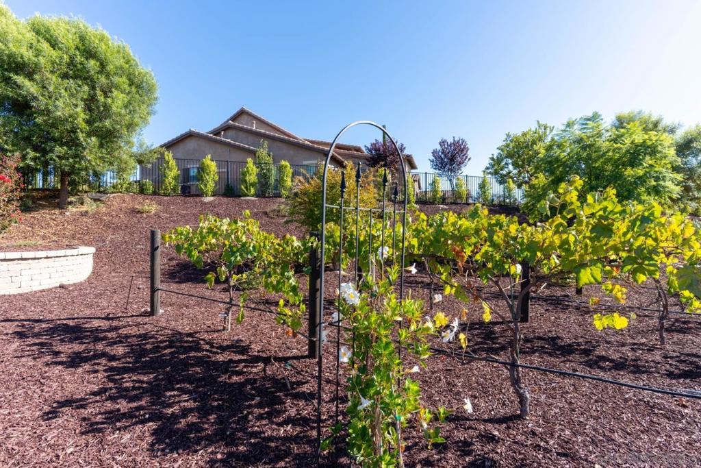 Temecula - Residential