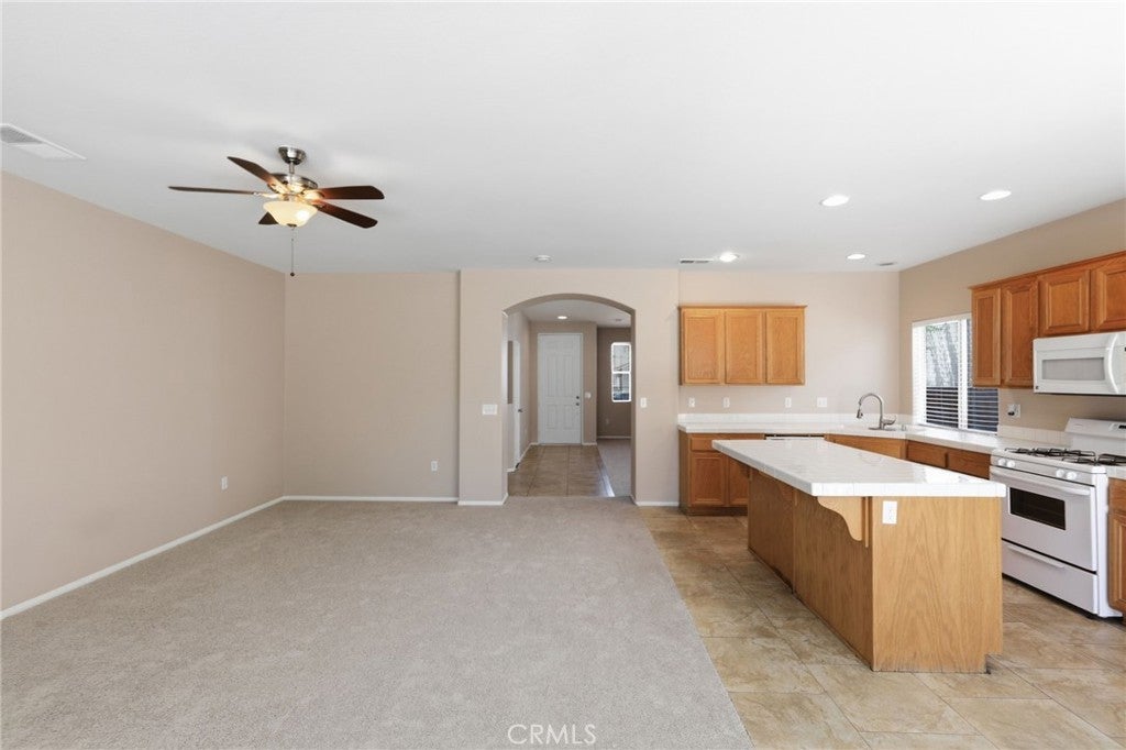 231 Spinnaker