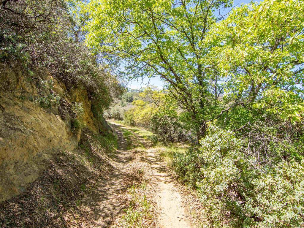 17 Bobcat Trail