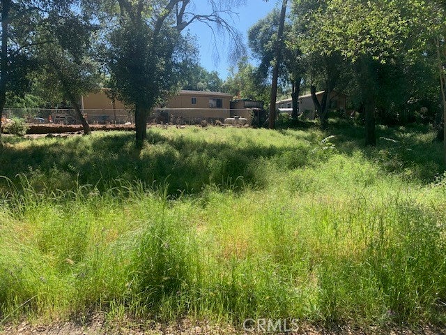 14245 Woodland