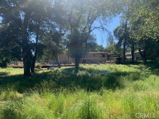 14245 Woodland